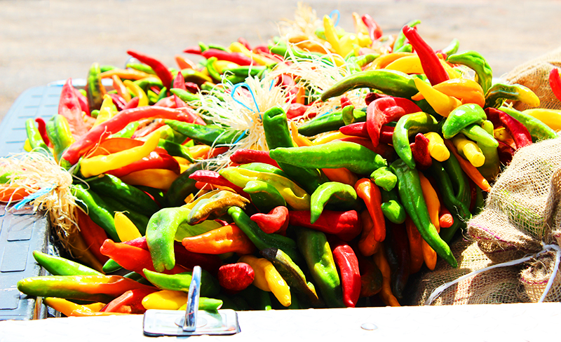 chiles-in-truck