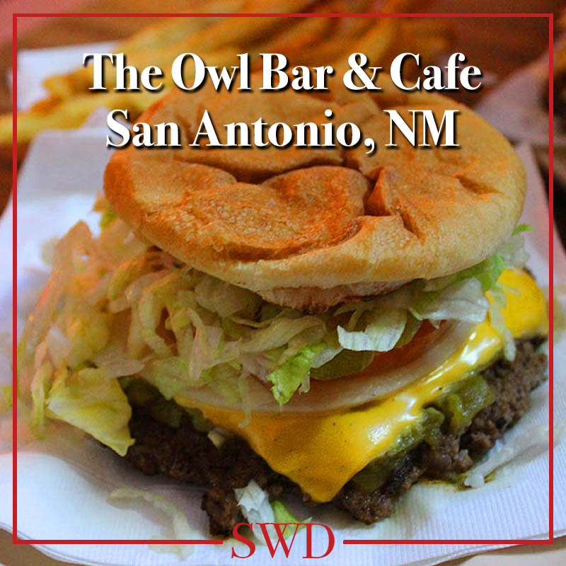 World Famous Green Chile Cheeseburger The Owl Bar & Cafe Southwest