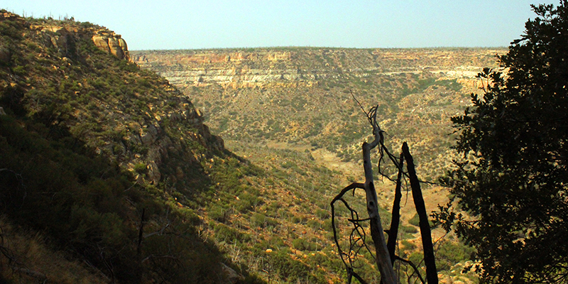 Valley View of Rock Canyon